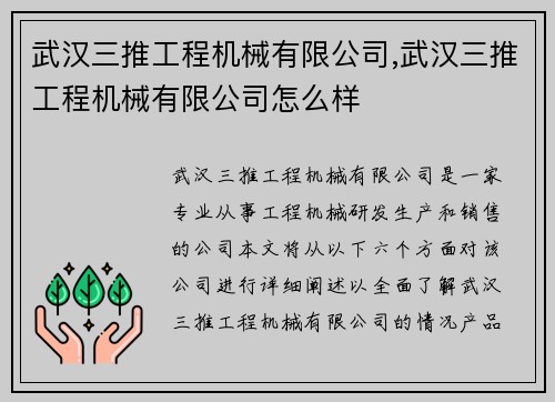 武汉三推工程机械有限公司,武汉三推工程机械有限公司怎么样